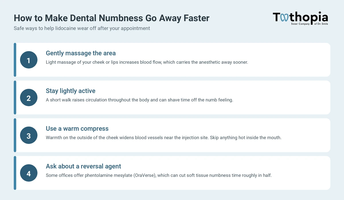 Four safe ways to make dental numbness from lidocaine go away faster